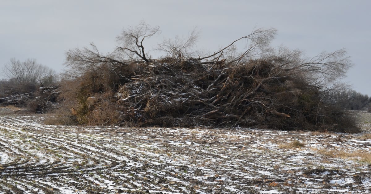 Minnesota’s Novembers are trending warmer