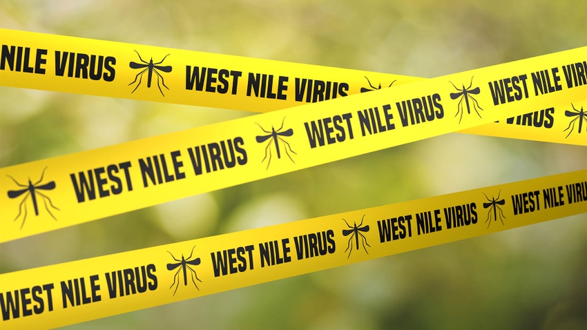 Yellow caution tape with the words West Nile Virus and illustrations of mosquitos