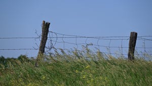 wire fence and post