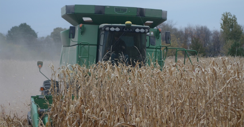 combine in corn field during harvest