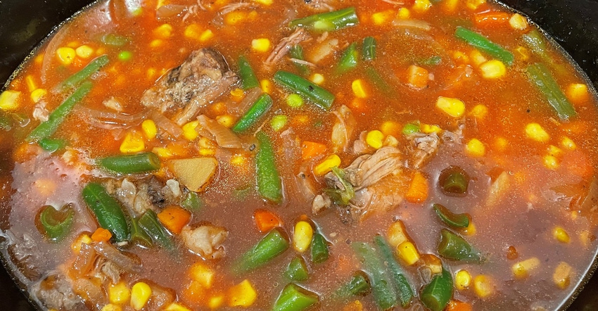 beef and vegetable soup
