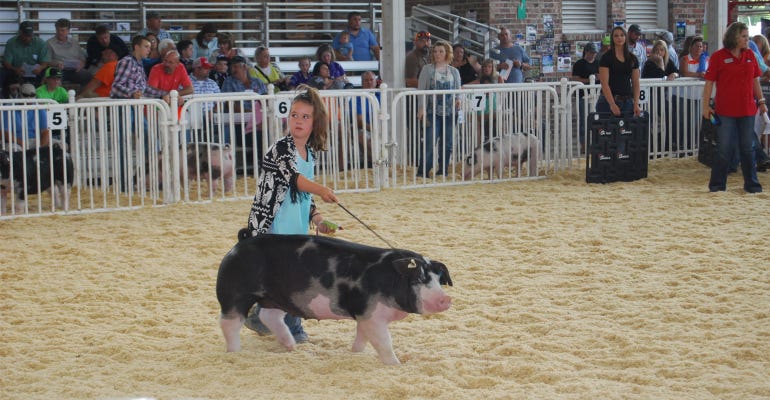 One of Iowa’s largest agricultural events, this year’s World Pork Expo is canceled due to concern over African swine fever.