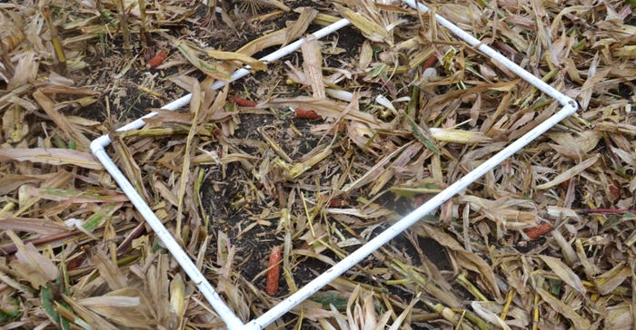 pvc square lying on harvested corn residue