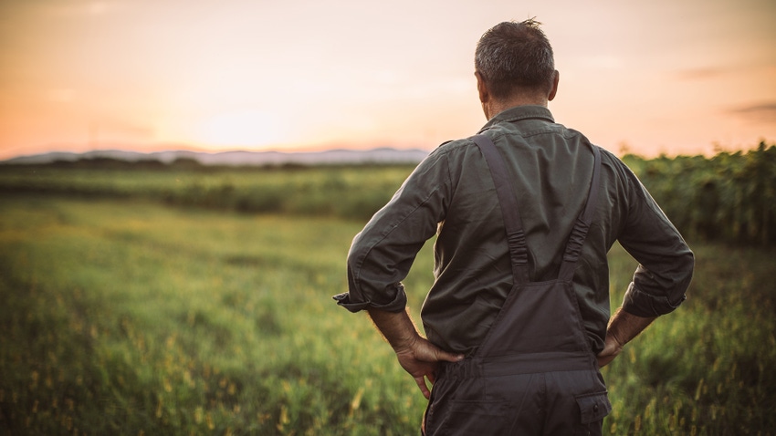 Senior male farmer with hands on hips looking at a field
