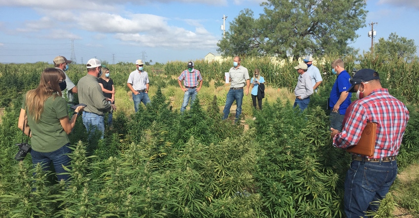 trostle-angelo-hemp-trial-meeting-22Sept2020.JPG trostle-angelo-hemp-trial-meeting-22Sept2020.JPG