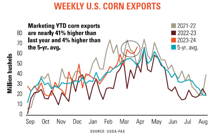 Weekly_US_corn_exports.PNG