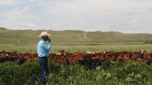 Farmer in field with cattle in background