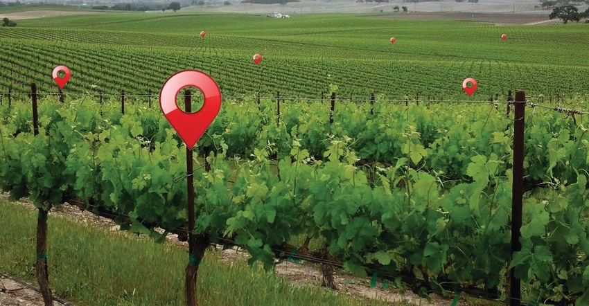 GL0923-cornellu-efficient-vineyards.jpg GL0923-cornellu-efficient-vineyards.jpg