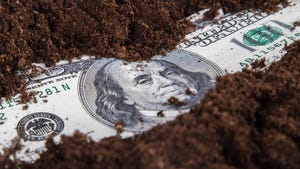 crumpled dollar bill in soil