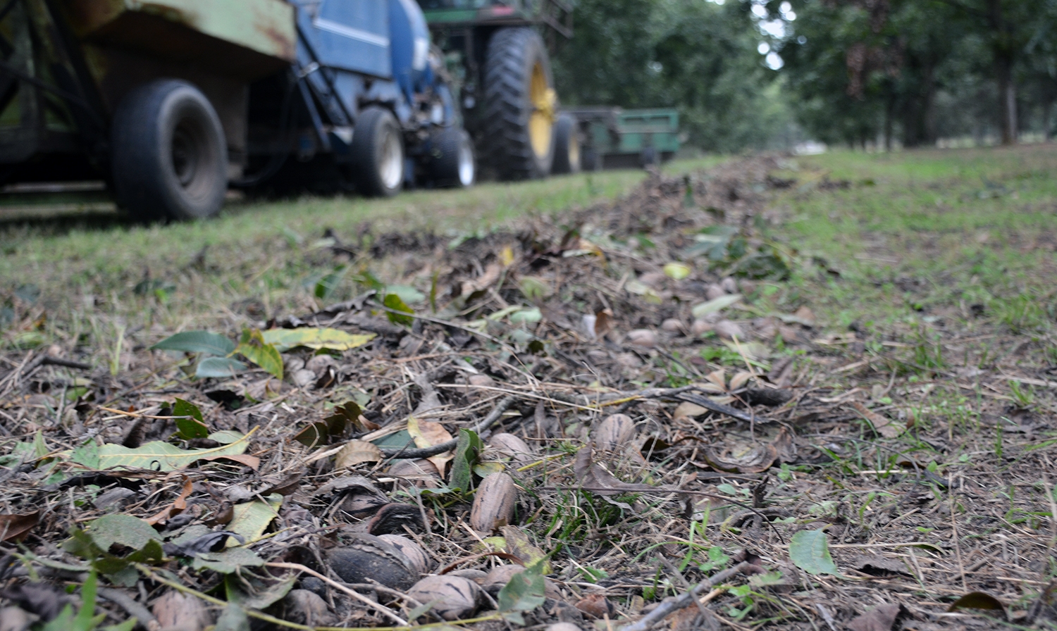 reclaims a top position two years after the storm