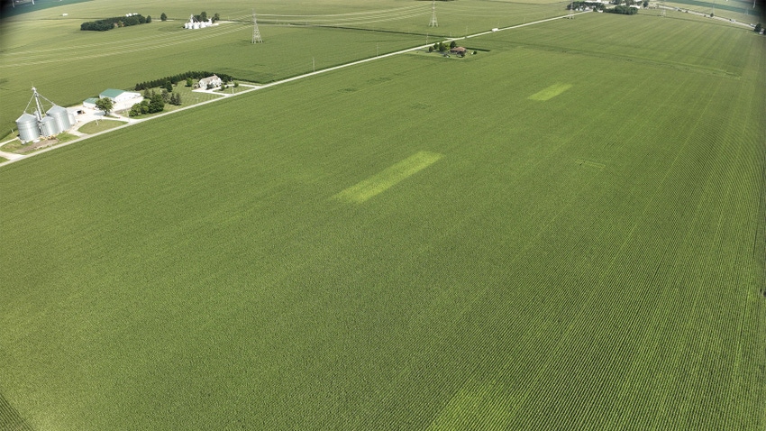  Aerial view of farmland with discolored areas of crop