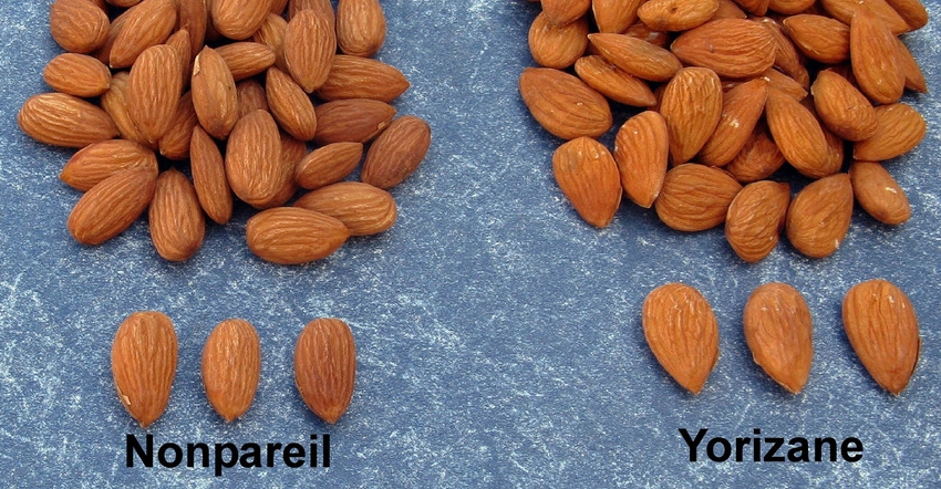 TNFP1202-USDA-new-nut.jpg