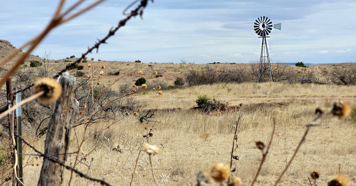 Demand for Texas rural land continues, slows