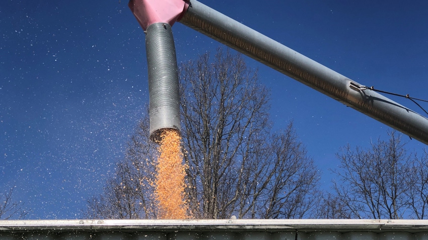  grain being loaded into cart