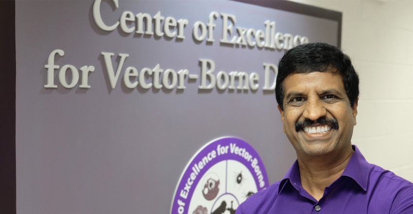 Roman Ganta, professor of diagnostic medicine and director of Kansas State University's Center of Excellence for Vector-Borne Roman Ganta, professor of diagnostic medicine and director of Kansas State University's Center of Excellence for Vector-Borne