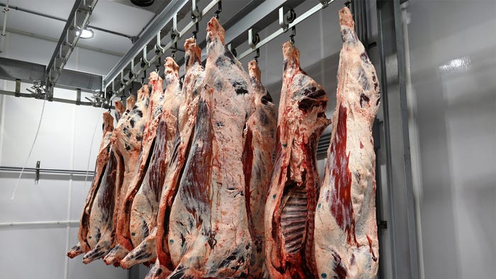 Beef carcasses hanging in meat locker Beef carcasses hanging in meat locker