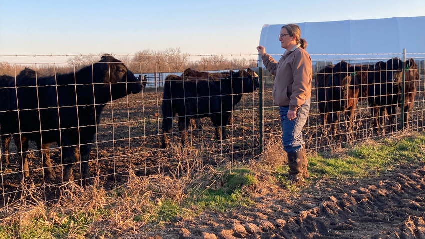 DeEtta Murphy looks over a set of beef cows at her farm