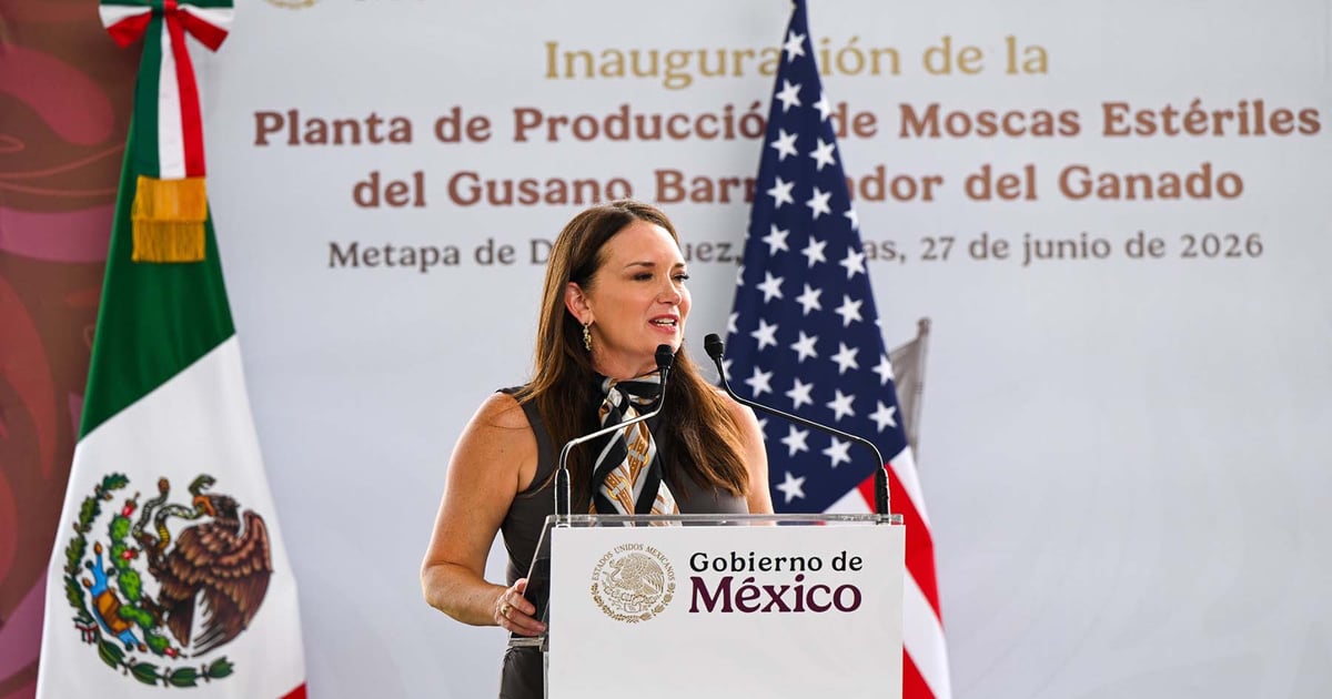 U.S. screwworm cases hit 31 as Mexico ramps up sterile flies