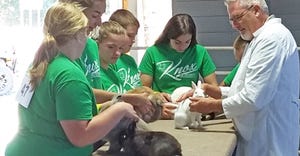 Kids with 4-H Rabbits