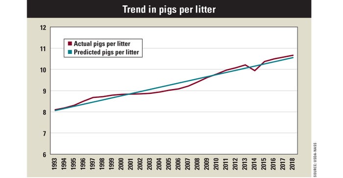 Trend in pigs per litter chart