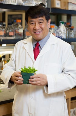  Hong Zhang, professor of Plant Molecular Biology and Plant Biotechnology at Texas Tech