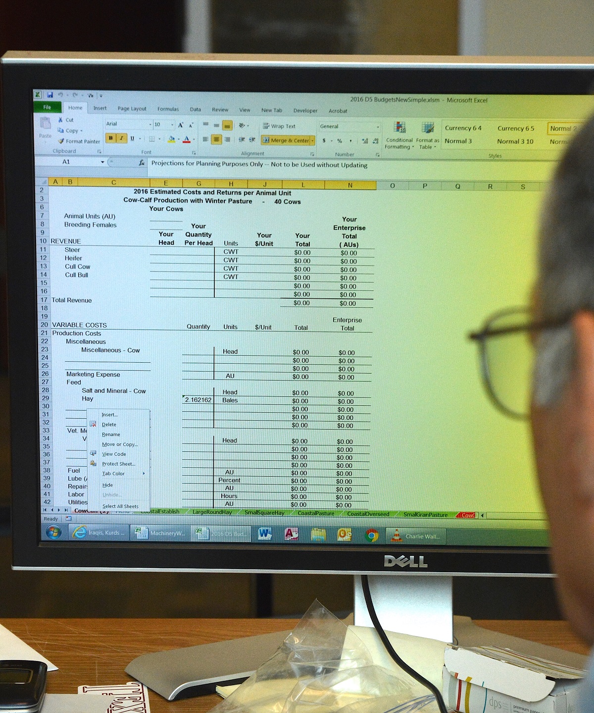 Livestock budgets available on Excel spreadsheets