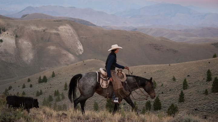 Idaho ranchers keep innovating to raise sustainable beef