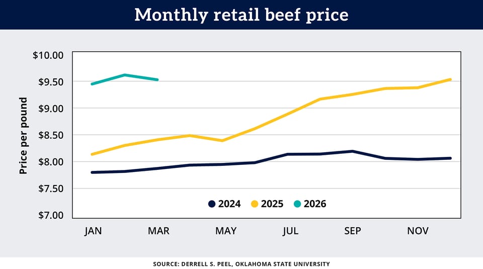 Beef prices are climbing fast What’s driving the surge?
