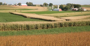 scenic view of multicolored fields with farmsteads on horizon