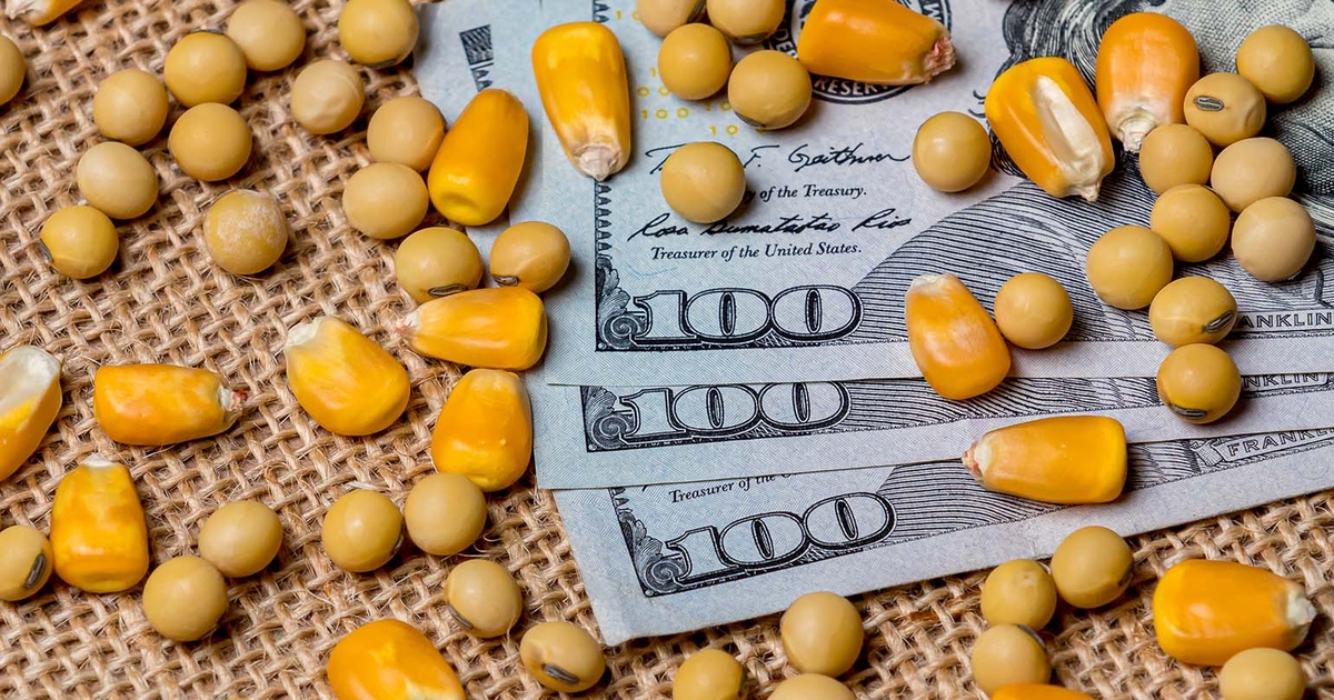 Corn and soybean markets explained in 8 simple charts