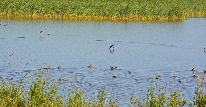 BWSR approves first components for One Watershed, One Plan