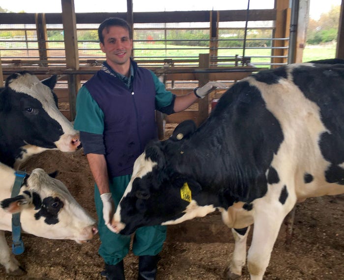 Adrian Barragan, lead researcher, administered aspirin in cows through boluses or in pill form