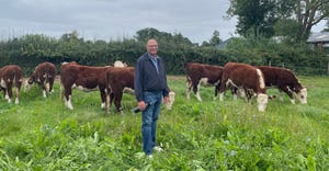 Terry Hayhurst standing with Hereford cattle