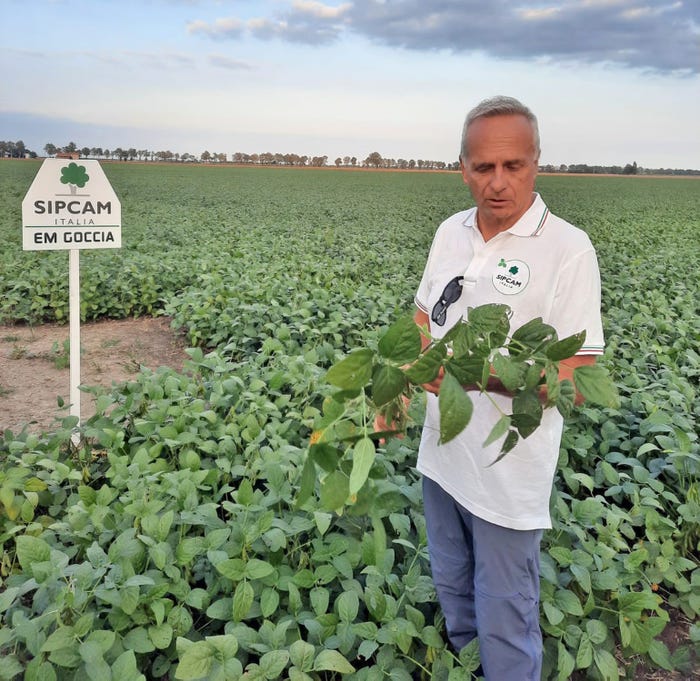 Piero Ciriani standing in soybean field
