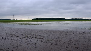 flooded crop field