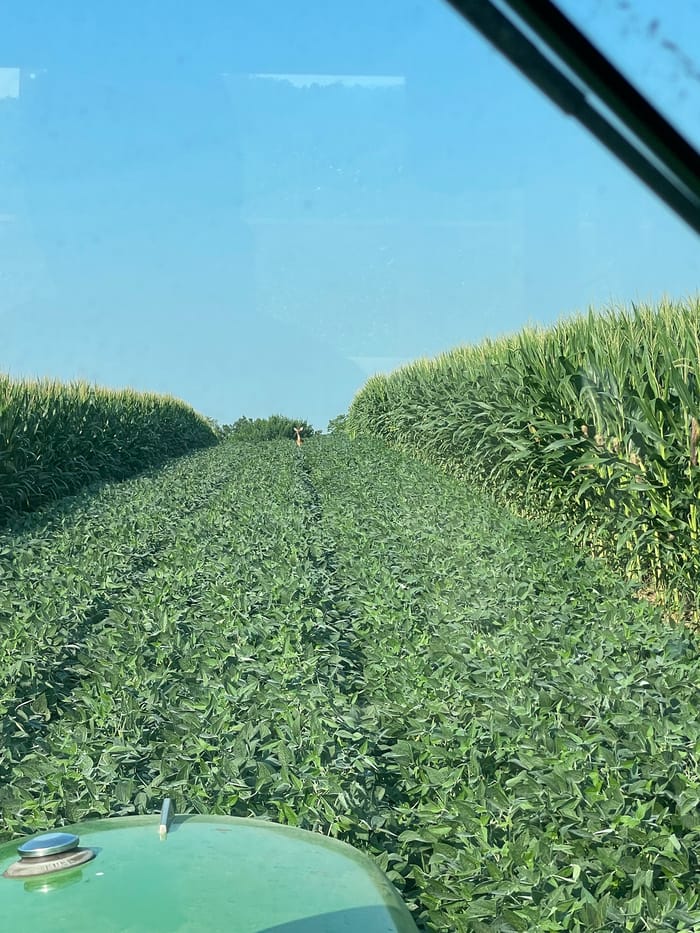 从大豆排拖拉机舱看到的景色