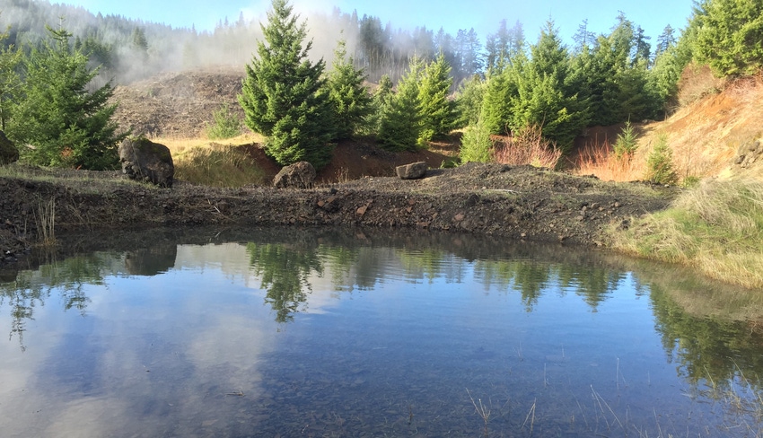 WFP-OSU-research-forest.jpg WFP-OSU-research-forest.jpg