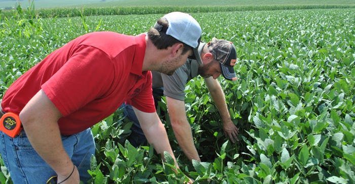 Nebraska Extension educator Nathan Mueller (right) evaluates a soybean stand with Ryan Siefken in Platte County in a previous