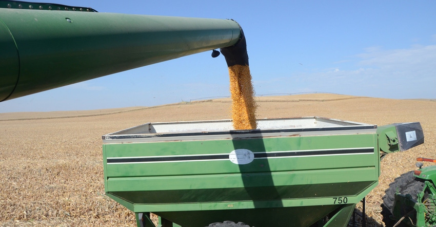 Grain auger putting grain in grain trailer. Grain auger putting grain in grain trailer.