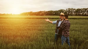 Farmers talking on wheat field
