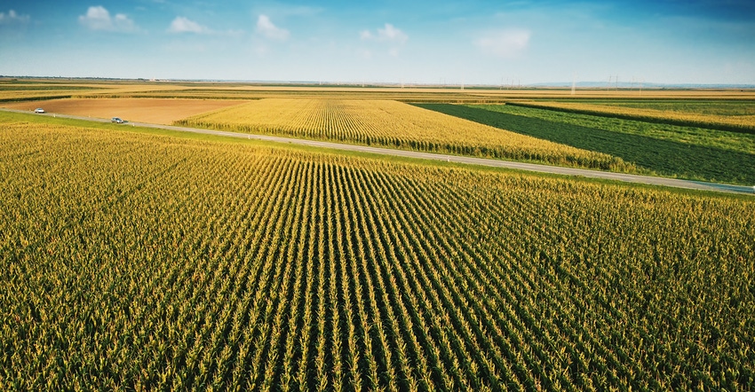 Getty aerial drone view of corn field.jpg Getty aerial drone view of corn field.jpg