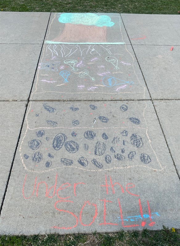 Chalk drawing depicts plants and trees above ground, highlighting the roots, organisms and geologic structures by the 4G class led by Stacey Snyder