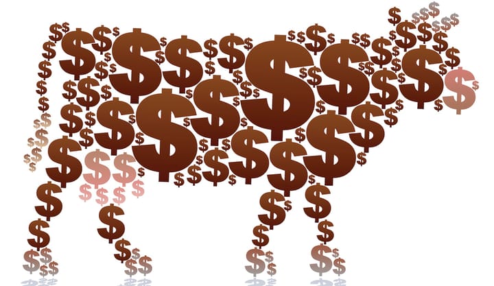 Trump beef import plan threatens cattle prices, NCBA warns