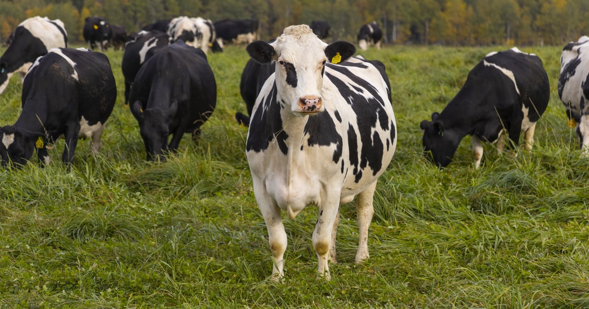 Son’s vision for growth shouldn’t compromise your exit strategy