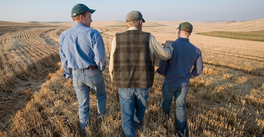 Three generations of male farmers walking through a wheat field
