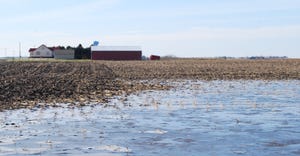 flooded farmland