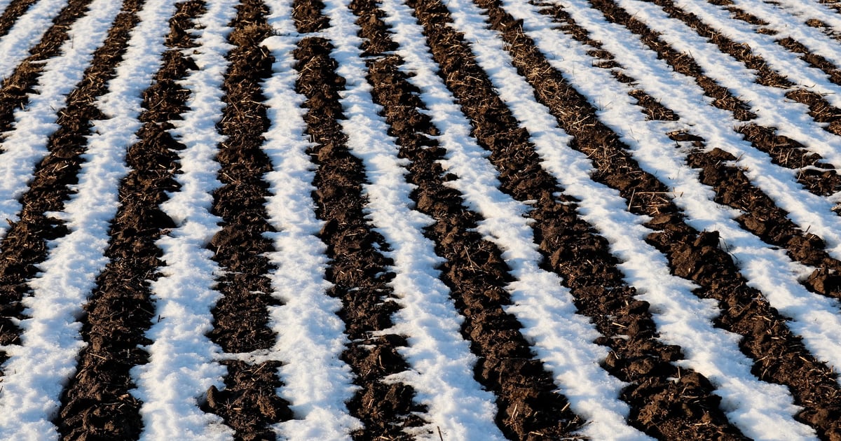 USDA restores prevented planting buy-up option for crop insurance