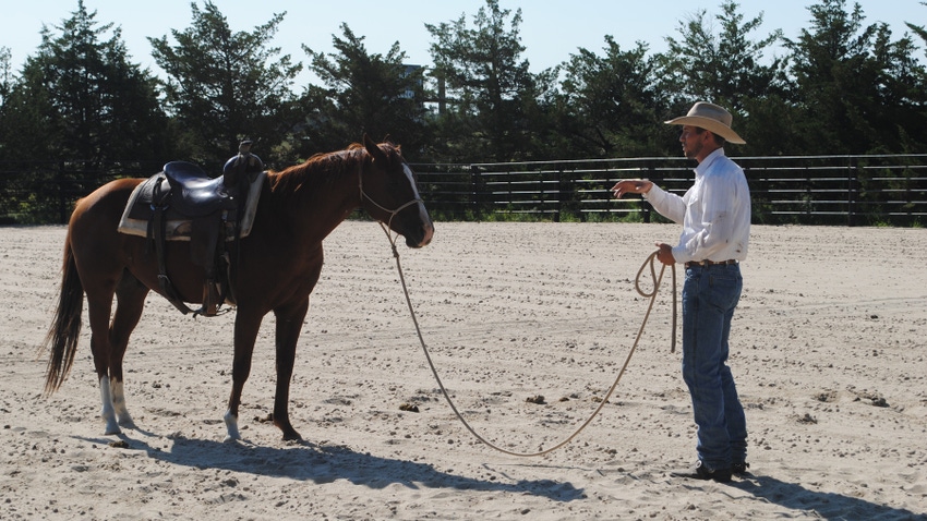 cowboy and horse