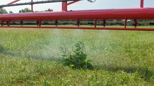 A sprayer treating weeds in a field