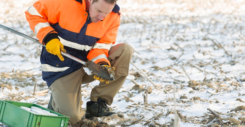 man doing soil sample